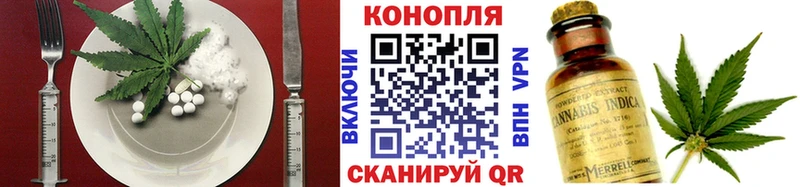 Cannafood конопля  ОМГ ОМГ онион  Алагир 