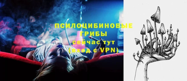 метадон Покачи