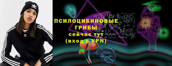 МДПВ Абаза