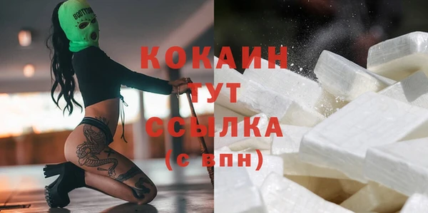МДПВ Абаза