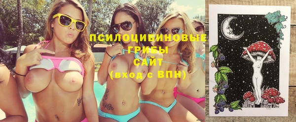 МДПВ Абаза