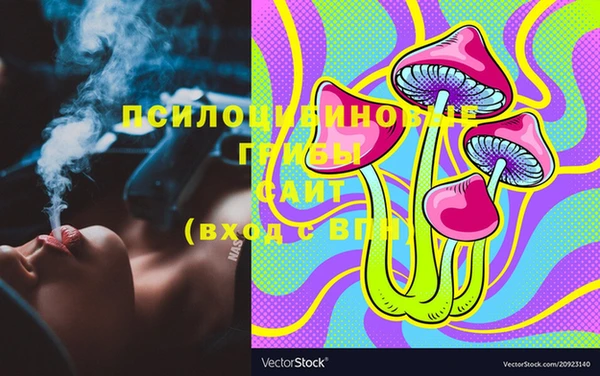 МДПВ Абаза